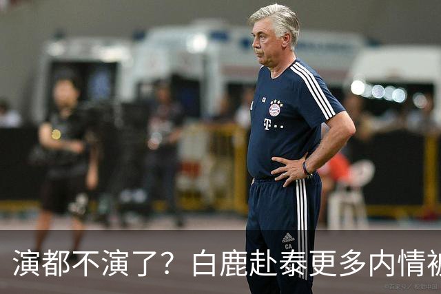 演都不演了？白鹿赴泰更多内情被扒，众星被连带，难怪不取消活动